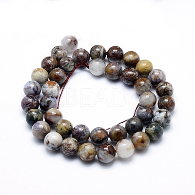 Natural Pietersite Beads Strands G-G823-05-10mm-1