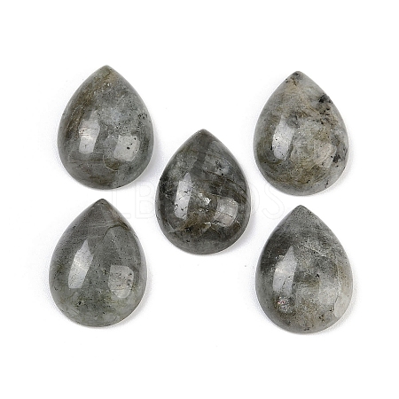 Natural Labradorite Cabochons G-H094-01A-19-1