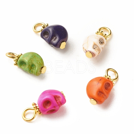 Dyed Synthetic Turquoise Charms PALLOY-JF01452-1