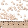 6/0 Glass Seed Beads X1-SEED-L011-08A-24-4