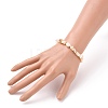 Chip Natural Shell Stretch Beaded Bracelets BJEW-JB05727-01-3