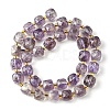 Natural Amethyst Beads Strands G-Q010-A06-01-3