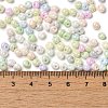 6/0 Glass Seed Beads SEED-M012-01A-01-4