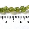 Raw Rough Natural Peridot Beads Strands G-P528-B05-01-4