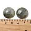 Natural Labradorite Cabochons G-C115-02A-26-3
