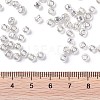 6/0 Glass Seed Beads X-SEED-A017-4mm-1109-3