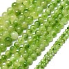 Natural Malaysia Jade Beads Strands G-L645-C01-14mm-31-2