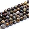 Natural Pietersite Beads Strands G-G823-05-10mm-1
