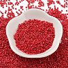 Baking Paint Glass Seed Beads X-SEED-S042-05B-91-2