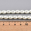 Baking Paint Pearlized Glass Pearl Bead Strands HY-T002-01A-02-4