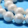 Round Shell Pearl Bead Strands BSHE-L011-10mm-A013A-4