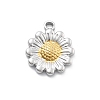 304 Stainless Steel Pendants STAS-R155-045GP-03-1