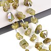 Dyed Electroplate Raw Rough Natural Amethyst Beads Strands G-Q610-05G-1