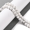 Natural Howlite Beads Strands G-G001-B02-06-2