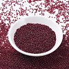 MIYUKI Round Rocailles Beads SEED-JP0008-RR0315-4