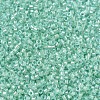 MIYUKI Delica Beads SEED-X0054-DB1707-3