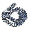 Natural Kyanite Beads Strands G-H335-E01-7x10mm-2