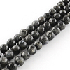 Natural Larvikite Round Beads Strands G-R342-10mm-09-1