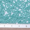 MIYUKI Round Rocailles Beads SEED-G007-RR0485-4
