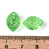 Transparent Acrylic Beads TACR-T028-72B-3