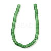 Synthetic Turquoise Beads Strands G-V003-A01-04-3