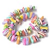 Dyed Natural Trochus Shell Beads Strands SSHEL-C013-09G-2