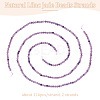 Olycraft 2 Strands Natural Lepidolite/Purple Mica Stone Beads Strands G-OC0004-86-4