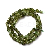 Natural Peridot Beads Strands X-G-I389-A27-3