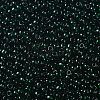 TOHO 11/0 Round Beads X-SEED-TR11-0939-2