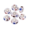Handmade Lampwork & Brass Core European Beads LAMP-N044-04S-01-1