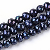 Natural Cultured Freshwater Pearl Beads Strands X-PEAR-R018-11-2