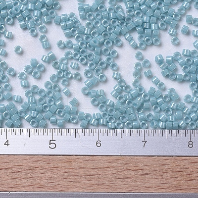 MIYUKI Delica Beads X-SEED-J020-DB0217-1