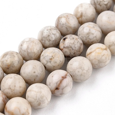 Natural Maifanite/Maifan Stone Beads Strands G-I187-8mm-01-1