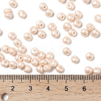 6/0 Glass Seed Beads X1-SEED-L011-08A-24-1