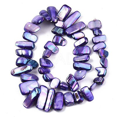 Natural Freshwater Shell Beads Strands X-SHEL-N026-123H-1
