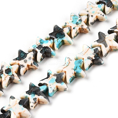 Spray Painted Synthetic Turquoise Beads Strands LS-UNKW-T001-11H-1