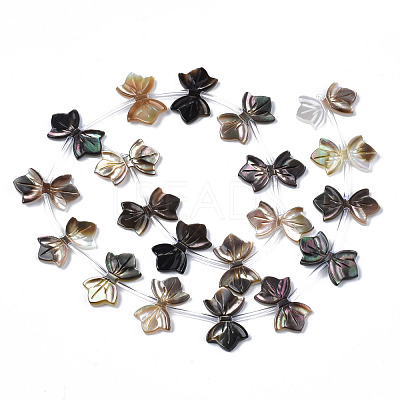 Natural Black Lip Shell Beads Strands SSHEL-S278-123A-1