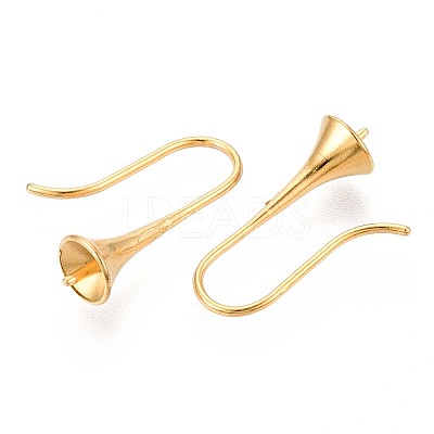 Ion Plating(IP) 304 Stainless Steel Earring Hooks STAS-N108-30G-1