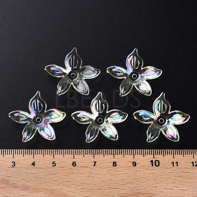 Transparent Acrylic Beads MACR-S373-102-C06-1