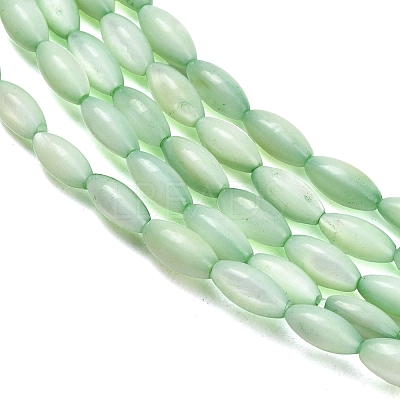 Natural Freshwater Shell Beads Strands SHEL-C010-01-1
