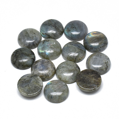 Natural Labradorite Cabochons G-T073-18-10mm-1