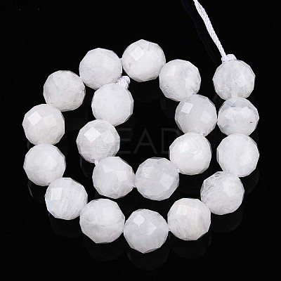 Natural Rainbow Moonstone Beads Strands G-S345-10mm-36-1