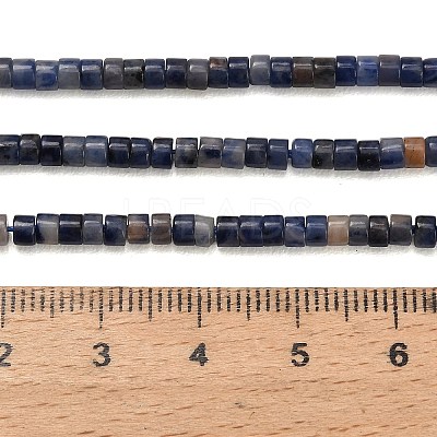 Natural Sodalite Beads Strands G-P608-A08-01-1