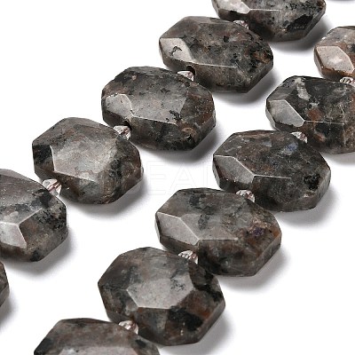 Natural Fluorescent Syenite Rock(Glow under UV Light) Beads Strands G-H078-B11-01-1