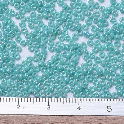MIYUKI Round Rocailles Beads SEED-G007-RR0485-1