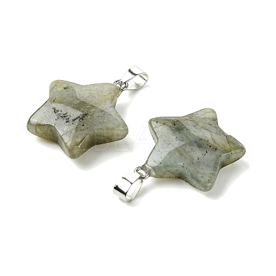 Natural Labradorite Pendants GG-K002-10G-1