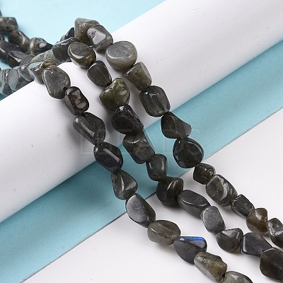 Natural Larvikite Beads Strands G-A208-08-1