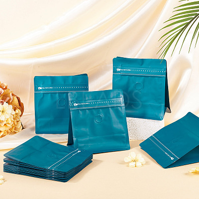 PE Plastic Storage Resealable Bags with Valve LS-AJEW-TAC0045-019C-1