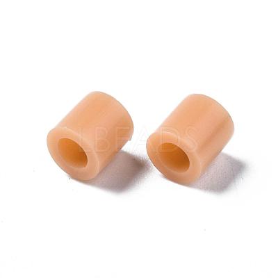PE Fuse Beads X-DIY-R013-18-1