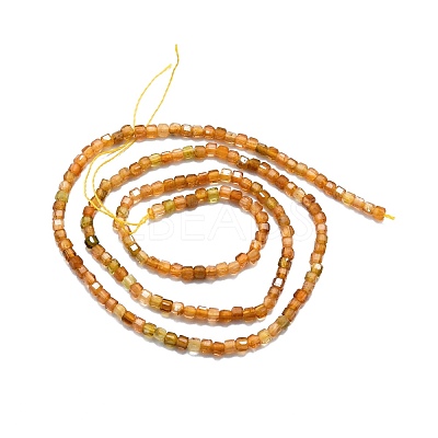 Natural Yellow Tourmaline Beads Strands G-P457-B01-02A-1